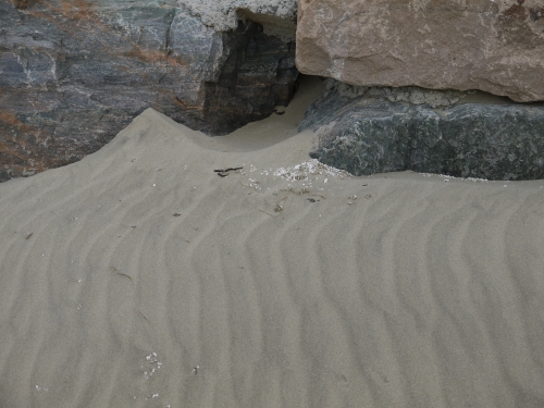 신두리 해안사구에서 모래의 이동을 막고 있는 인공 석벽들. 생태계 보전을 가로 막는 주범이다.