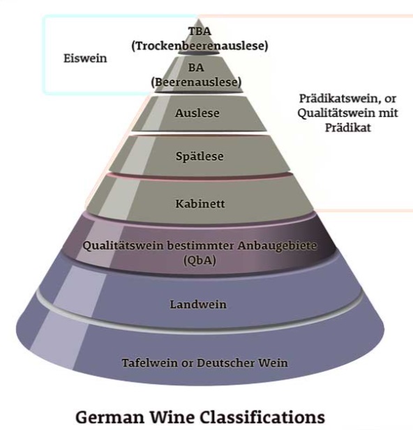 독일 와인 등급제