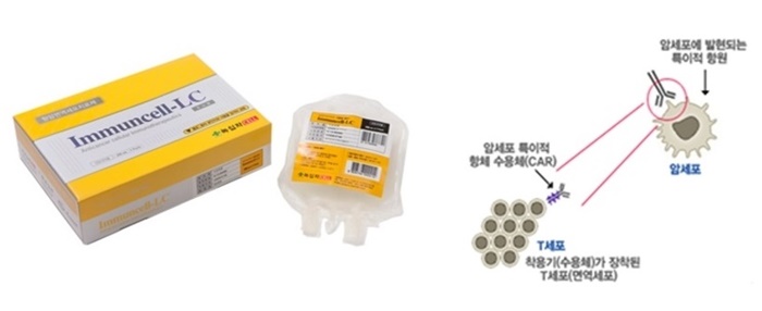 T세포 기반 면역항암제 녹십자셀의 ‘이뮨셀LC’(왼쪽)와 CAR-T 작용 기전 (출처 녹십자셀 홈페이지)