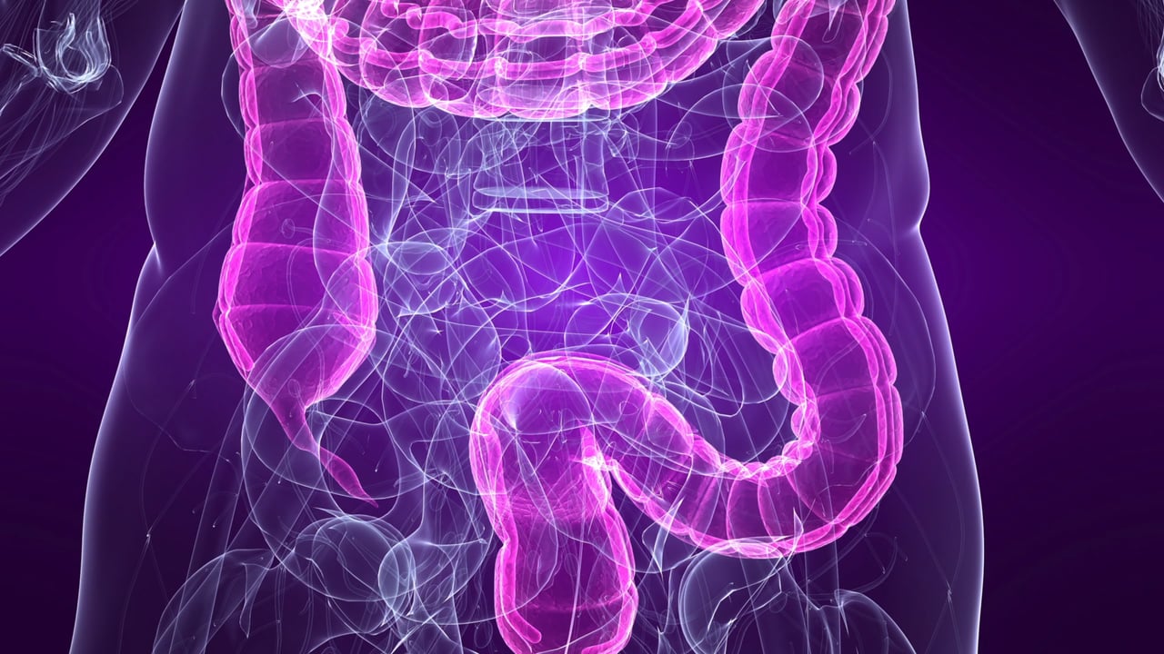 식습관에 따라 장내 균종이 다르므로 건강한 한국인에서 유산균을 분리한 프로바이오틱스를 섭취하는 게 좋다. 