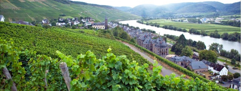 모젤강을 끼고 있는  ‘모젤 자르 루버’(Mosel-Saar-Ruwer) 지역은 독일에서 가장 유명한 화이트와인 산지다.