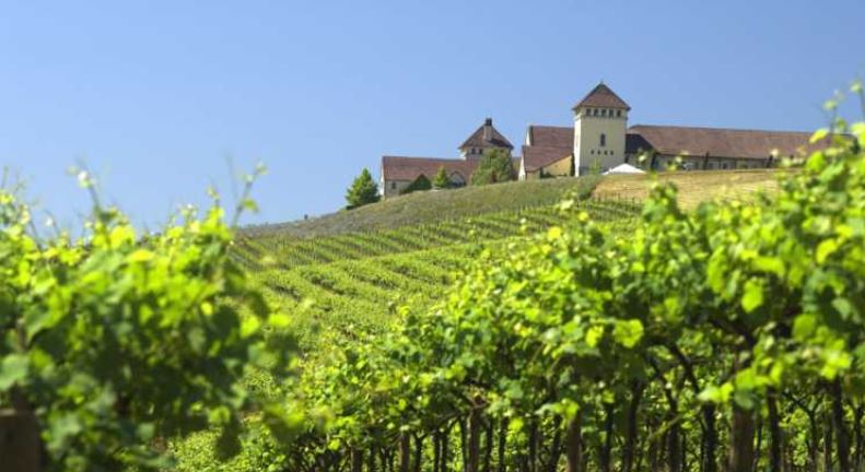 미국 오리건주 윌라메트밸리의 ‘킹 이스테이트 와이너리’(출처: 미국관광청 홈페이지)