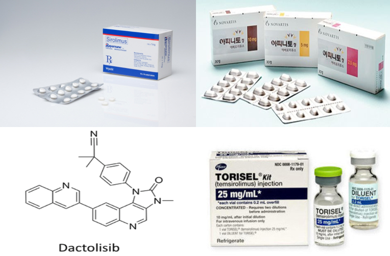 1세대 mTOR억제제인 화이자의 ‘라파뮨정’(윗줄 왼쪽부터 시계방향으로), 노바티스의 ‘아피니토정’, 화이자의 ‘토리셀주’ 등과 2세대 mTOR억제제인 노바티스의 ‘닥톨리십’