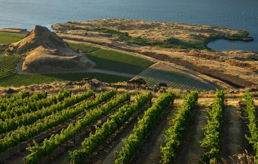 콜럼비아밸리 와이너리 풍경. 출처: 워싱턴와인협회